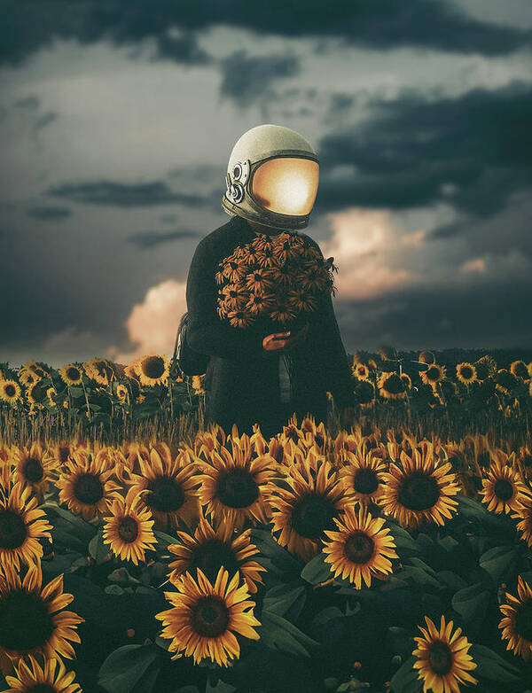 PhotoshopGuy et les collages d'un rêveur